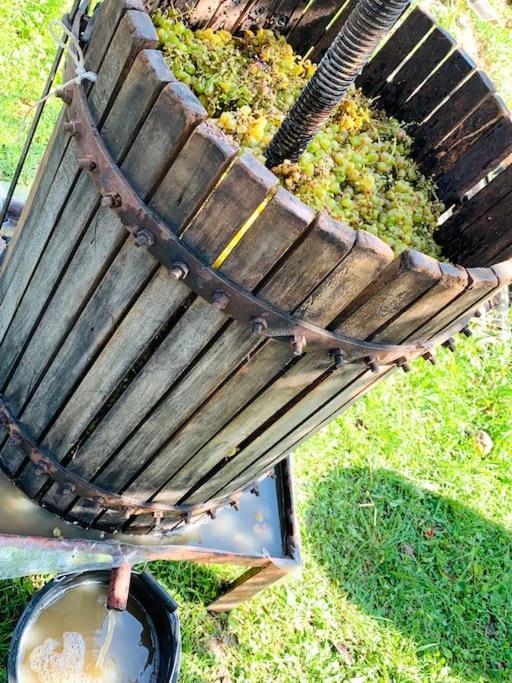 La-Marti, Idyllische Unterkunft Mit Kamin Bagdati 外观 照片